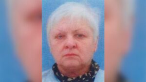 Переплыла реку и пропала: в Обуховке ищут 68-летнюю женщину
