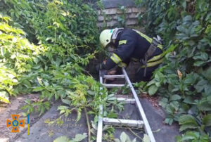 На Днепропетровщине женщина провалилась в выгребную яму (Видео)