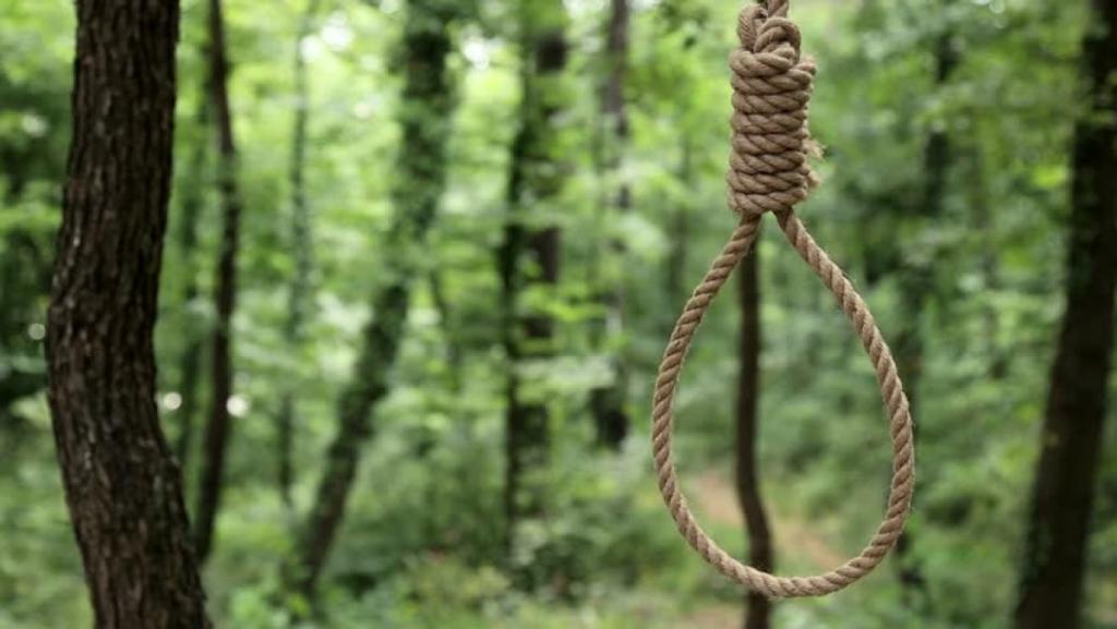 На Днепропевтровщине в лесополосе на дереве повесился 23-летний парень
