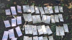 В Синельниковском районе женщина обокрала пенсионера, которому помогала по хозяйству