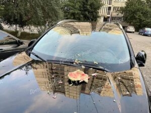 Разбилось лобовое стекло: в Днепре на проспекте Мира на припаркованную машину скинули арбуз