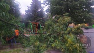 Во Львове ураган повредил автомобили, аттракционы в парке и повалил множество деревьев (Фото, видео)