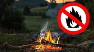 В Днепре метеорологи предупреждают о высоком уровне пожарной опасности