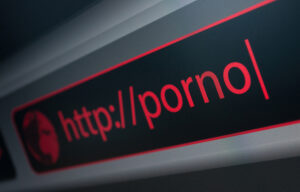 Житель Першотравенска распространял в Интернете детскую порнографию