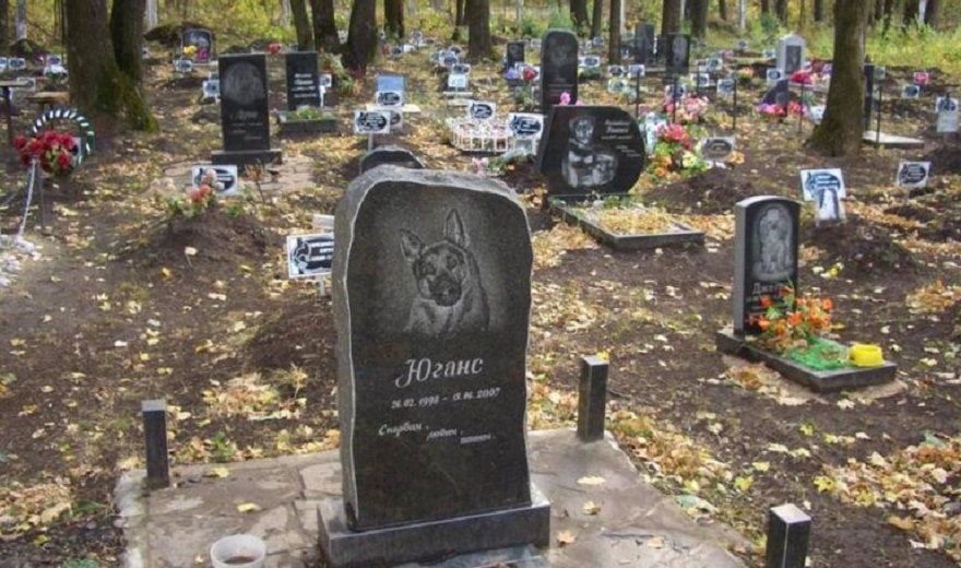 В Днепре на Красном Камне разрастается стихийное кладбище домашних животных