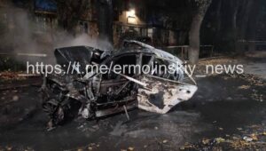 Смертельное ДТП: в Кривом Роге женщина влетела в дерево и погибла (фото)