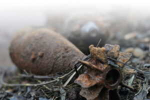 В Днепре в садовом обществе нашли множество боеприпасов и скелет человека