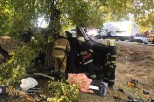 В Никопольском районе автомобиль влетел в дерево: погиб водитель