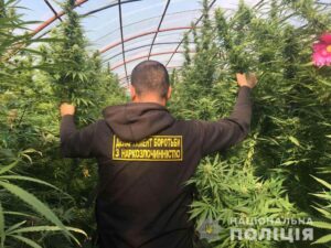 Женщину откинуло на проезжающий мимо автомобиль: в Харькове снова случилась смертельная авария с Infiniti