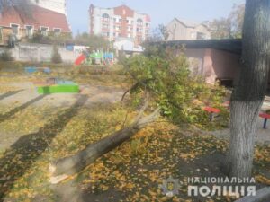 На Полтавщине в детсаду на детей и воспитателя упало дерево: одна из пострадавших в коме (Фото)