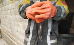 В Криворожском районе в подвале дома поймали змею