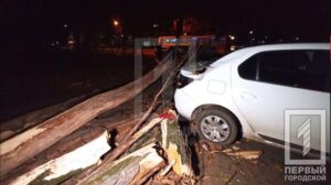 В Кривом Роге дерево упало на четыре автомобиля: есть пострадавший