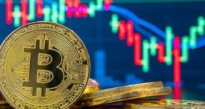 Курс биткоина на 12 ноября: цена криптовалюты стремительно падает
