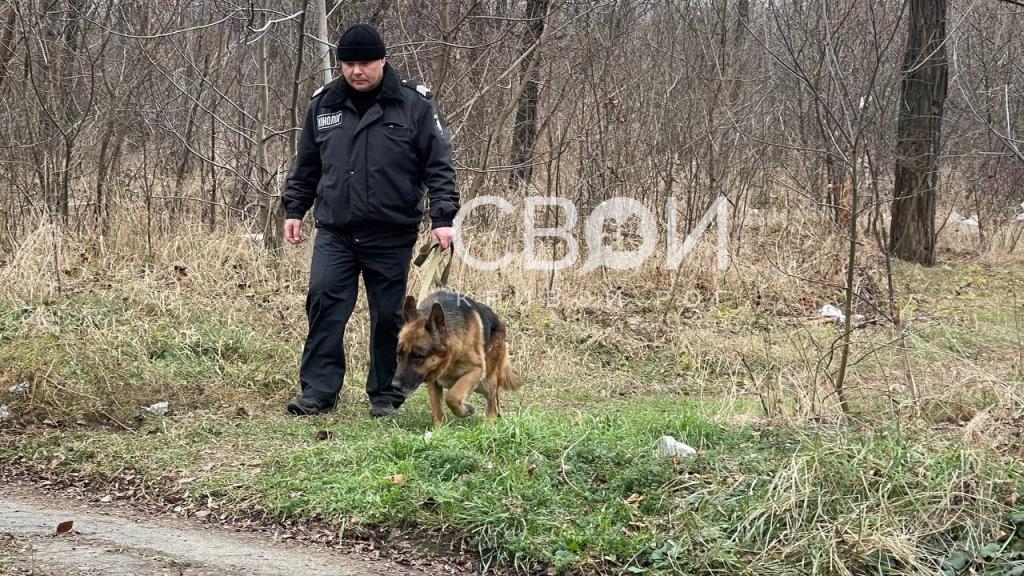 В Кривом Роге возле училища обнаружили человеческие останки