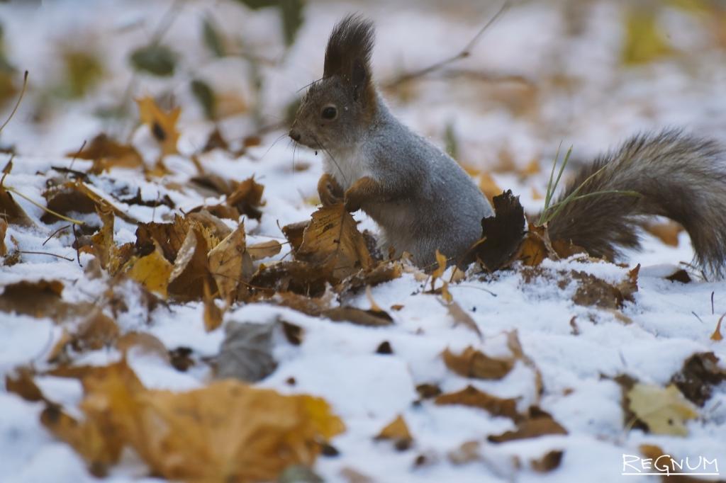 Прогноз погоды