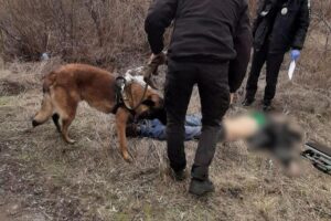 Собаки обглодали: на Днепропетровщине на обочине нашли труп