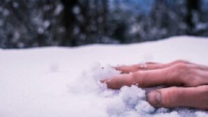 В Павлограде возле подъезда нашли мертвым пенсионера