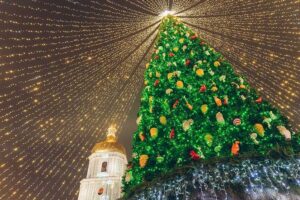 Украинцы могут проголосовать за лучшую новогоднюю елку страны