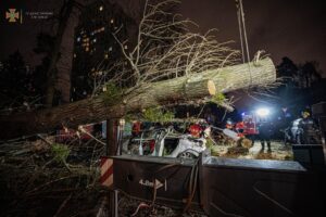 В Киеве дерево упало на автомобиль с людьми: погиб водитель (Фото)