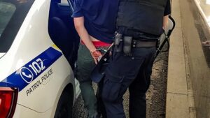 В Украине водителей штрафуют за оскорбление полиции: что нужно знать