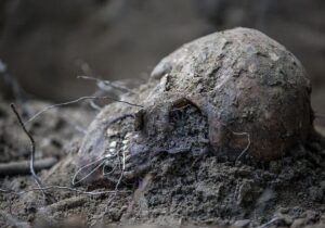 В Днепре прохожие нашли человеческий череп