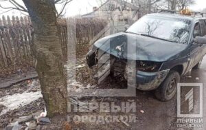 В Кривом Роге легковушка влетела в дерево: пострадал водитель