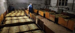 В Амур-Нижнеднепровском районе Днепра расчистили еще одно бомбоубежище