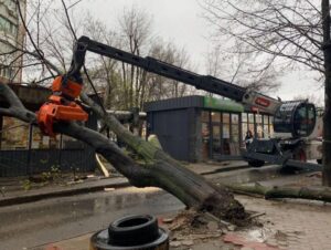 В Днепре из-за непогоды дерево упало на торговые павильоны
