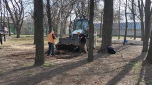 Высадка клумб, обрезка сухостоя: парки и скверы Днепра обновляют под зимы