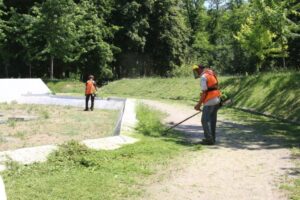 Покіс трави у Дніпрі: де проводяться роботи
