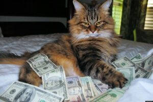 Курс доллара на черном рынке Днепра: актуальные данные на 5 июля
