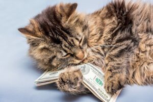 Сколько стоит доллар на черном рынке Днепра: курс валют на 3 июля