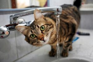 В Днепре целый жилой массив остался без воды: адреса