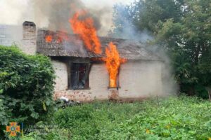 Пожежа у Кривому Розі: горів житловий будинок (Фото)