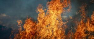 У Дніпрі метеорологи попереджають про високу пожежну небезпеку