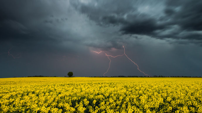 Погода