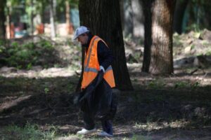 Чому реконструкція Севастопольського парку у Дніпрі поставлена на паузу
