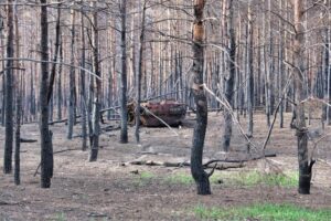 11 безпілотників та 3 танки за добу: втрати російської армії на 3 жовтня