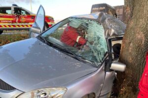 На автошляху Дніпро-Кривий Ріг легковик Mitsubishi зіштовхнувся з деревом: водія затисло у салоні