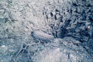 Лукашук розповів про обстріли Дніпропетровщини 13 жовтня