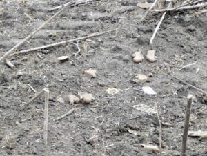 Лукашук розповів про обстріли Дніпропетровщини 9 жовтня