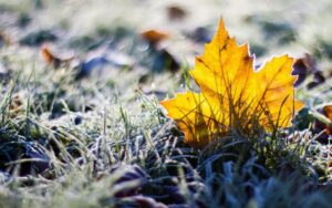 6 грудня температура повітря у Дніпрі може опуститися до -7°