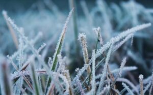 14 грудня температура повітря у Дніпрі може опуститися до -5°