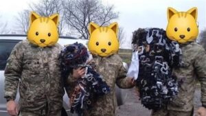 ви