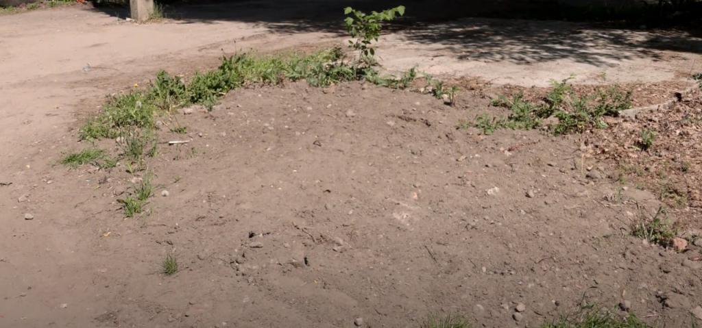 ооо