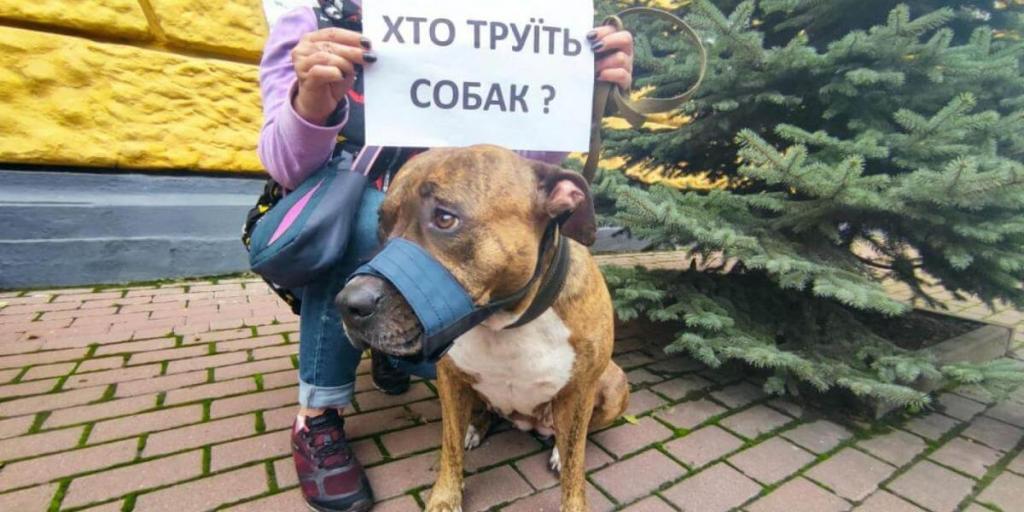 о