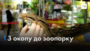З окопу до зоопарку: у Дніпрі рятують удава з передової