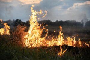 Мешканців Дніпропетровщини попередили про надзвичайну пожежну небезпеку