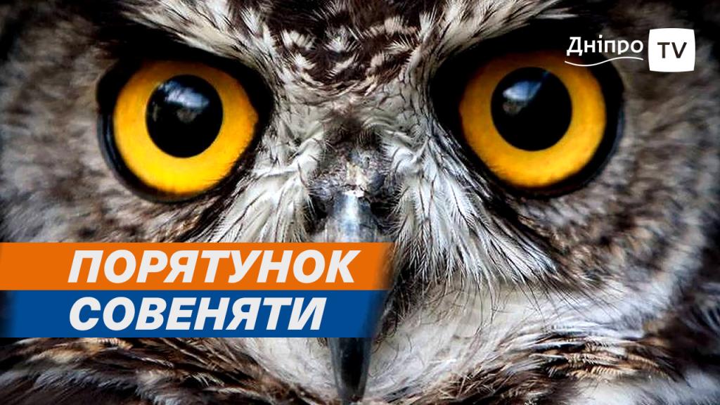 о