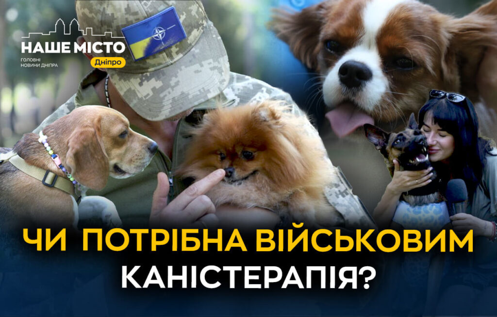 Каністерапія для військових: як собаки лікують у Дніпрі